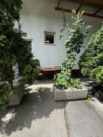 Апартаменты Cozy Flat Near Tivoli Park With Free Parking Любляна Экстерьер фото